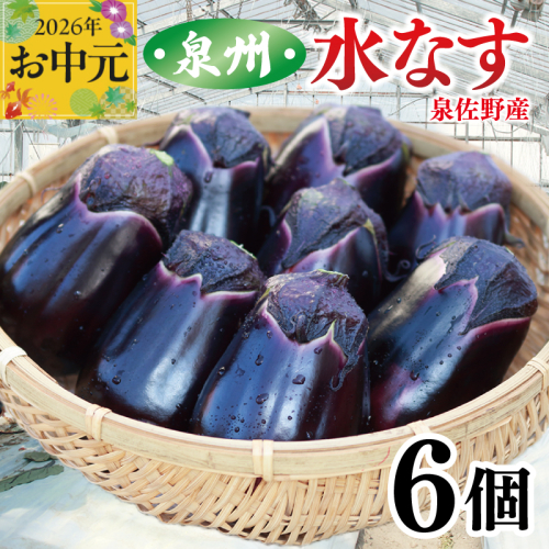 【お中元対応】泉州 泉佐野市産 ハウス水なす 6個【茄子 泉佐野産 とれたて 新鮮野菜 やさい 高評価】 005A759t 2598719 - 大阪府泉佐野市