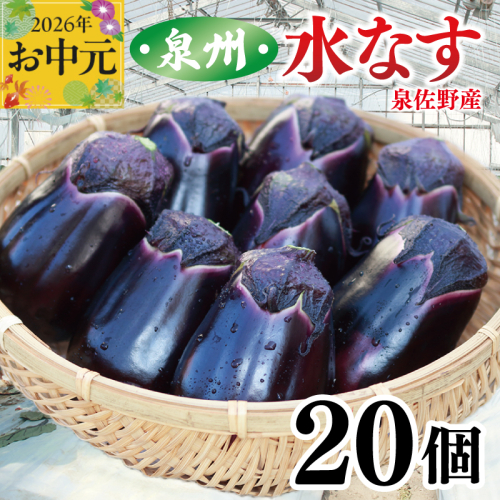 【お中元対応】泉州 泉佐野市産 ハウス水なす 20個【茄子 泉佐野産 とれたて 新鮮野菜 やさい 高評価】 099H4104t 2598721 - 大阪府泉佐野市