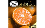 老舗農家が見極めたプレミアム＜愛媛みかん3kg×2箱＞＜愛媛県川上産＞＜D70-104＞【1677117】 YWTK103