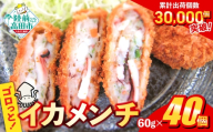 【9月発送】 ゴロっとイカメンチ 60g×40個 【 メンチカツ 惣菜 お弁当 おかず いか たっぷり 簡単 調理 お好み焼き風 イカ 】 RT2489-040