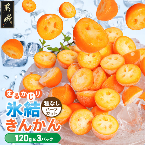 まるかじり氷結きんかん＜種なしハーフカット＞3パック_11-J7-004-3 2599116 - 宮崎県都城市