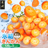 まるかじり氷結きんかん＜種なしハーフカット＞3パック_11-J7-004-3