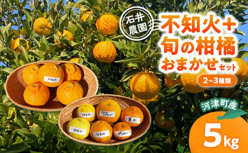 不知火 ＋ 旬の柑橘おまかせセット 2～3種類 5kg みかん ミカン セット 旬の果物 フルーツ 果実 はるか はるひ スイートスプリング ポンカン 青島 はるみ 麗紅 不知火 河津町 静岡県 2599135 - 静岡県河津町