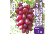 世羅産クイーンセブン 約1kg(3～5房)【先行予約・数量限定】カナダ人農園主 ぶどう ブドウ マスカット クイーンセブン フルーツ 果物 くだもの 産地直送 世羅 ラピアビンヤード【2026年8月下旬以降順次発送】 A021-06