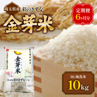 【定期便】埼玉県産 金芽米(彩のきずな) 10kg×6ヶ月分 HNNS003