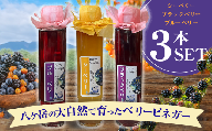 八ヶ岳の大自然で育った ベリービネガー 3本セット ( ブラックベリー , シーベリー , ブルーベリー )| りんご酢 ビネガー ベリー 安心 体に優しい さわやか 信州 八ヶ岳 長野県 諏訪郡 原村