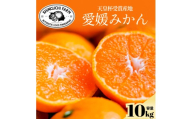＜太陽の恵みがギュッと凝縮＞愛媛みかん10kg＜小玉＞農家直送 愛媛県川上産＜F70-5＞【1440741】 YWTK005