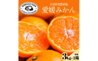 ＜太陽の旨みがギュッと凝縮＞愛媛みかん3kg×2箱 農家直送 愛媛県川上産＜D70-32＞【1536240】 YWTK032