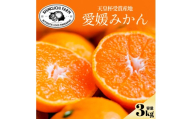 ＜太陽の旨みがギュッと凝縮＞愛媛みかん3kg 農家直送 愛媛県川上産＜C70-59＞【1555030】 YWTK059