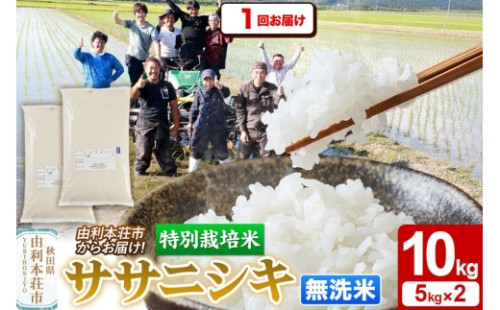令和7年産【無洗米】特別栽培米 ササニシキ 10kg（5kg×2袋）秋田県産 [ササニシキ 米 お米 白米 精米 無洗米 特別栽培米 ブランド米 食卓 秋田県産 秋田県 由利本荘市] 2599727 - 秋田県由利本荘市
