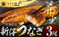 【父の日お届け】山義養魚の『うなぎ晴々』 3尾 希少  豊橋うなぎ 蒲焼 厳選 国産 新仔うなぎ 若うなぎ 鰻 簡易包装 ウナギ うなぎ 鰻 蒲焼 ギフト ひつまぶし 土用丑の日 ギフト 冷凍  丑の日 簡単調理 豊橋うなぎ お取り寄せ 送料無料 年末年始 年末 年越し 正月 ごちそう