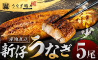 【父の日お届け】山義養魚の『うなぎ晴々』 5尾 希少  豊橋うなぎ 蒲焼 厳選 国産 新仔うなぎ 若うなぎ 鰻 簡易包装 ウナギ うなぎ 鰻 蒲焼 ギフト ひつまぶし 土用丑の日 ギフト 冷凍  丑の日 簡単調理 豊橋うなぎ お取り寄せ 送料無料 年末年始 年末 年越し 正月 ごちそう