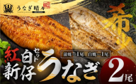 [母の日お届け]山義養魚の『うなぎ晴々』紅白セット 2尾(蒲焼1尾、白焼1尾) 希少 豊橋うなぎ 蒲焼 厳選 国産 新仔うなぎ 若うなぎ 鰻 ウナギ うなぎ ひつまぶし 土用丑の日 冷凍 丑の日 ご自宅 簡単調理 お取り寄せ 送料無料 お中元 お歳暮 贈答 ギフト タレ・山椒・岩塩つき 15000円