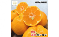 【先行予約】極甘 柑橘 特撰 濃厚 ポンカン 約5kg+200g(傷み補償分)※2027年1月上旬～3月上旬に順次発送 ※北海道・沖縄・その他離島地域は発送不可【ard244A】