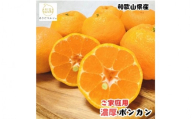 【先行予約】極甘 柑橘有田育ちの 濃厚 ポンカン（家庭用）約1kg+200g(傷み補償分)　※2027年1月上旬～3月上旬に順次発送 ※着日指定不可【ard245】
