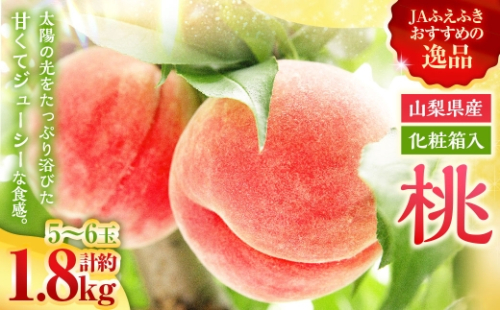 桃 （ 化粧箱入り ） 約1.8kg （ 5～6玉 ） 甘い ジューシー もも モモ 果物 くだもの 果実 フルーツ 化粧箱 【2026年7月上旬～7月下旬発送予定】 2600652 - 山梨県中央市