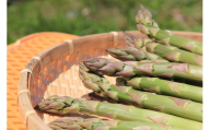 [2026年5月下旬より順次発送!]北海道オロロングリーンアスパラガス 1.5kg(露地) アスパラ グリーンアスパラ 北海道産 遠別町 露地栽培