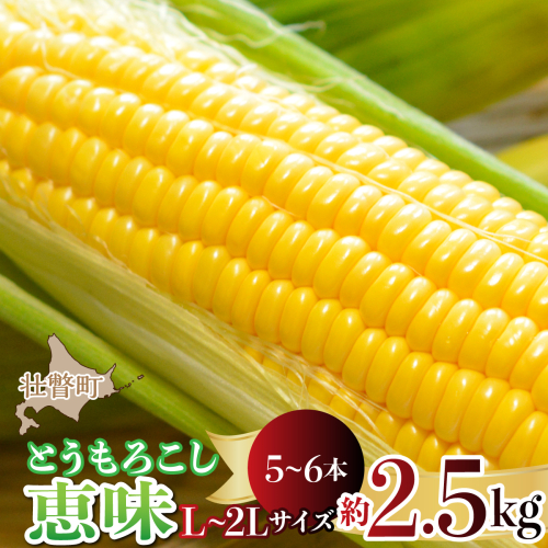 ＜2026年8月初旬よりお届け＞約2.5kg！北海道壮瞥産とうもろこし（恵味）【L～2Lサイズ 5～6本】 SBTP014 2600745 - 北海道壮瞥町