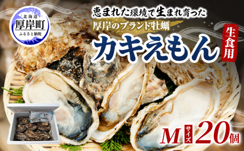 牡蠣 厚岸のブランド牡蠣 生食用 カキえもん Mサイズ 20個  [ 魚貝類 海鮮 海のミルク 国産 生食用殻付き牡蠣 まろやか クリーミー 食べやすい品種 海の香り 牡蠣の酒蒸し 焼き牡蠣  ] 2600770 - 北海道厚岸町