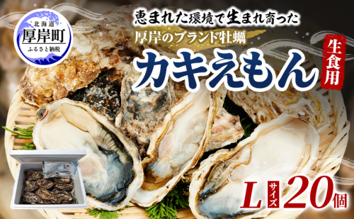 牡蠣 厚岸のブランド牡蠣 生食用 カキえもん Lサイズ 20個  [ 魚貝類 海鮮 海のミルク 国産 生食用殻付き牡蠣 まろやか クリーミー 食べやすい品種 海の香り 牡蠣の酒蒸し 焼き牡蠣  ] 2600771 - 北海道厚岸町