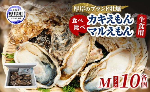 牡蠣 厚岸のブランド牡蠣 食べ比べ 生食用 カキえもん マルえもん Mサイズ 各10個  [ 魚貝類 海鮮 海のミルク 国産 生食用殻付き牡蠣 まろやか クリーミー 食べやすい品種 海の香り 牡蠣の酒蒸し 焼き牡蠣  ] 2600773 - 北海道厚岸町