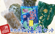 三陸山田 寅丸水産の海藻セット【配送日指定不可】 YD-509
