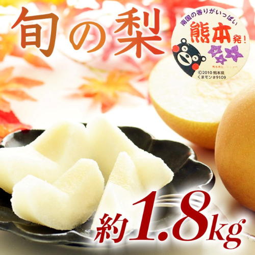 旬の梨 品種おまかせ 約1.8kg（5～8玉）【梨 なし 果物 フルーツ デザート 食後 熊本県産】※配送不可：離島 2600829 - 熊本県錦町