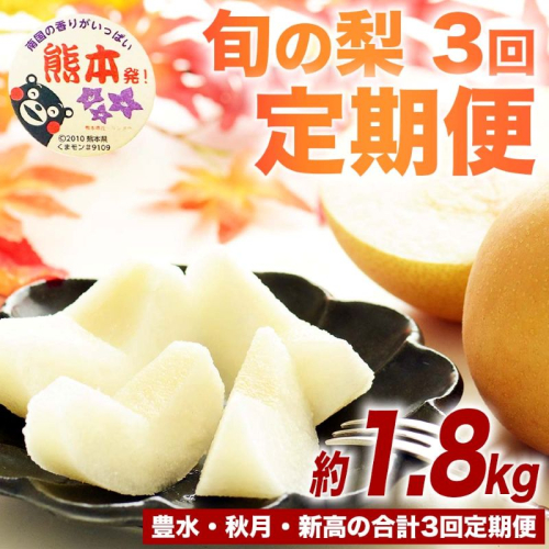 定期便3回 梨 約1.8kg×3回 計約5.4kg 豊水 秋月 新高 8月～10月出荷【梨 なし 果物 フルーツ デザート 食後 熊本県産】※配送不可：離島 2600831 - 熊本県錦町