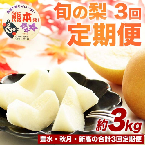 定期便3回 梨 約3kg×3回 計約9kg 豊水 秋月 新高 8月～10月出荷【梨 なし 果物 フルーツ デザート 食後 熊本県産】※配送不可：離島 2600832 - 熊本県錦町