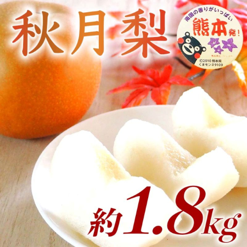秋月梨 約1.8kg（5～8玉）【梨 なし 果物 フルーツ デザート 食後 熊本県産】※配送不可：離島 2600837 - 熊本県錦町