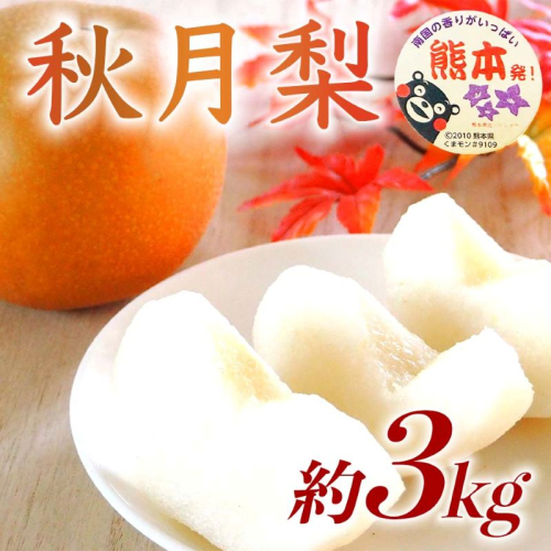 秋月梨 約3kg（4～12玉）【梨 なし 果物 フルーツ デザート 食後 熊本県産】※配送不可：離島 2600838 - 熊本県錦町