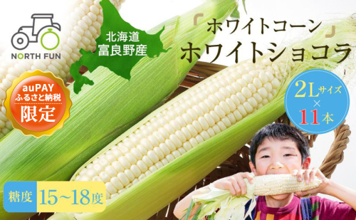 【auPAYふるさと納税限定】≪2026年夏発送≫北海道 富良野産 ホワイトコーン『ホワイトショコラ』2L サイズ 【11本】とうもろこし  (NORTH FUN) とうきび コーン 野菜 新鮮 甘い ジューシー 贈り物 ギフト 道産 富良野市  2600852 - 北海道富良野市
