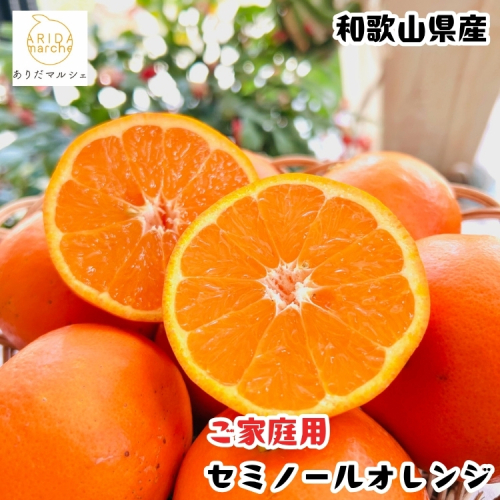 セミノールオレンジ（ご家庭用） 1kg+200g(補償分)｜ 柑橘 フルーツ 果物 くだもの 食品 人気 おすすめ 選べる 国産 美浜町 2600854 - 和歌山県美浜町