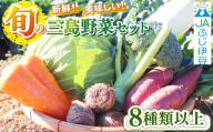 【2026年7月発送 夏野菜】三島野菜詰め合わせセット 8種類以上 JAふじ伊豆 ファーマーズマーケット みしまるかん お取り寄せ グルメ 野菜 旬の詰め合わせ 三島市 静岡県