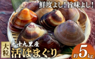 大粒 活 はまぐり 5kg 【 某TV番組で全国1位!】 ふるさと納税 はまぐり 天然 酒蒸し お吸い物 お祝い 活はまぐり 飯岡ヤマイチ水産-大納屋- 送料無料 千葉県 旭市 iys023