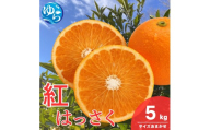 和歌山県産 紅 はっさく 5kg  サイズおまかせ / 八朔 ハッサク 柑橘 果物 和歌山 ※2027年2月中旬～3月中旬に順次発送予定 ※北海道・沖縄・離島配送不可 【eiw021-beni-5】