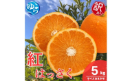 【訳あり】和歌山県産 紅 はっさく（サイズおまかせ） 5kg / 八朔 ハッサク 柑橘 果物 和歌山 ※2027年2月中旬～3月中旬に順次発送 ※北海道・沖縄・離島配送不可 【eiw021-beni-c-5】
