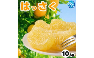 和歌山県産 はっさく 10kg  サイズおまかせ / 八朔 ハッサク 柑橘 果物 和歌山 ※2027年2月中旬～3月中旬に順次発送予定 ※北海道・沖縄・離島配送不可 【eiw021-r-10】