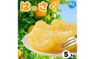 和歌山県産 はっさく 5kg  サイズおまかせ / 八朔 ハッサク 柑橘 果物 和歌山 ※2027年2月中旬～3月中旬に順次発送予定 ※北海道・沖縄・離島配送不可 【eiw021-r-5】