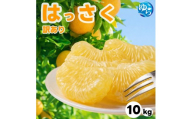 和歌山県産 はっさく 訳あり 10kg  サイズおまかせ / 八朔 ハッサク 柑橘 果物 和歌山 ※2027年2月中旬～3月中旬に順次発送予定 ※北海道・沖縄・離島配送不可 【eiw021-c-10】