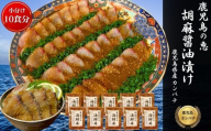 鹿屋市産 かんぱち 胡麻醤油漬け 海鮮丼セット 10食分 KN097-005-04