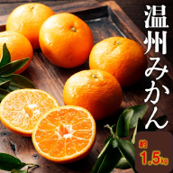 ZF170.温州みかん（1.5kg程度）／2026年11月～2027年1月配送