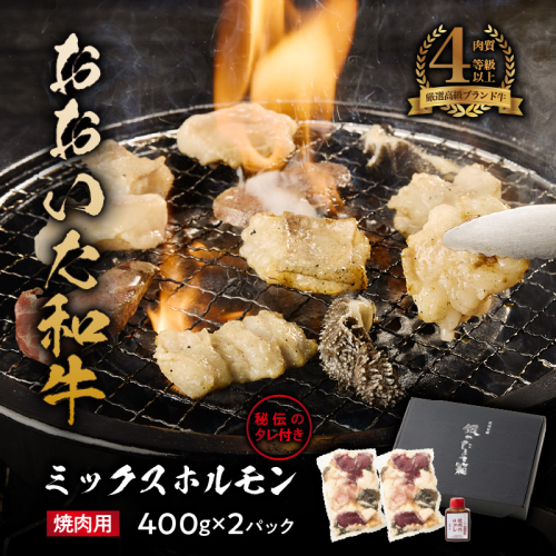 【秘伝のタレ付】おおいた和牛ミックスホルモン400g×2パック_2678R 焼肉 バーベキュー BBQ ミシュラン 高級店 2601555 - 大分県国東市