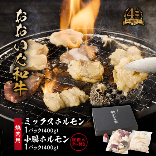 【秘伝のタレ付】おおいた和牛 ミックス・小腸ホルモン 各400g_2679R 焼肉 バーベキュー BBQ ミシュラン 高級店 2601556 - 大分県国東市