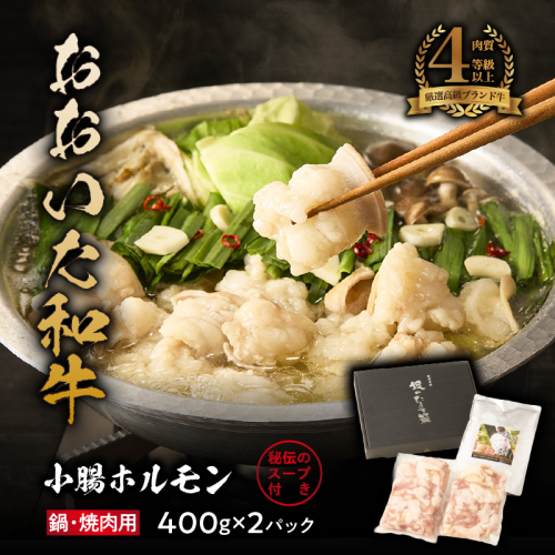【秘伝のスープ付】おおいた和牛 小腸ホルモン400g×2パック_2680R もつ鍋 塩もつ もつ煮込み 旨塩 ミシュラン 高級 2601557 - 大分県国東市