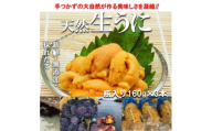 ＜予約・6月～発送＞岩手・三陸　小さな村のきれいな海で育った新鮮瓶入り　天然生うに(160g×3本)【1731706】