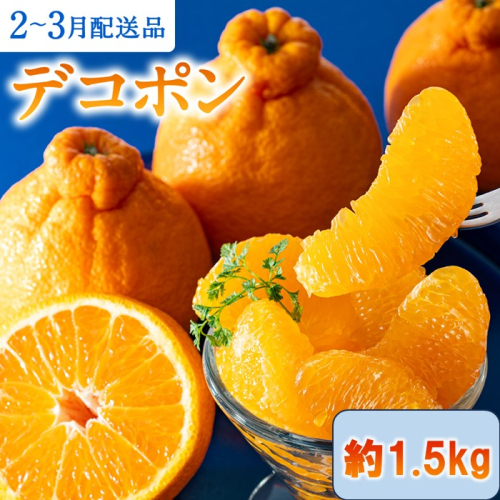ZG257.【昨年も大人気】デコポン（1.5kg程度）／2027年2月～3月配送 2601741 - 福岡県新宮町