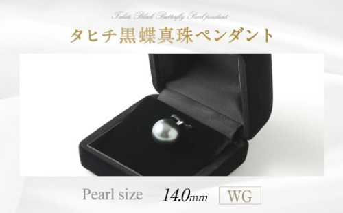 WG タヒチ黑蝶真珠 ペンダント 真珠サイズ14.0mm前後 高品質 260261 - 福岡県嘉麻市