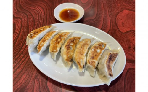 肉餃子 45個【配送不可：沖縄県・離島】 2603214 - 静岡県静岡市