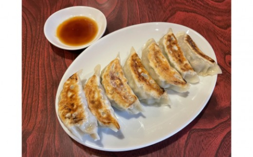 味幸の餃子食べ比べセット（肉・野菜・生姜）15個×3種 【配送不可：沖縄県・離島】 2603216 - 静岡県静岡市